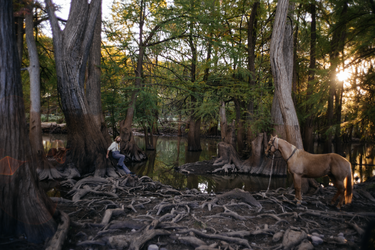 Una scena di The Dead Don’t Hurt con un uomo seduto tra le radici di grandi alberi e un cavallo legato vicino a uno specchio d’acqua, immersi in un’atmosfera di quiete al tramonto.