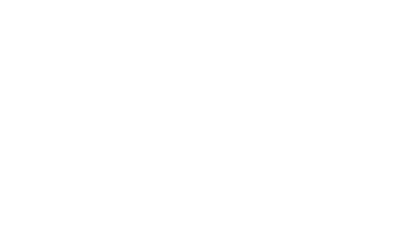 Logo con cinque stelle e la scritta “Film della Critica SNCCI”, riconoscimento assegnato da critici cinematografici italiani.